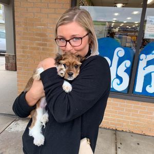 Meet your Posher, Baylie